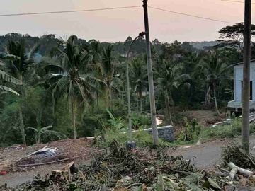 tanah murah cocok untuk investasi di patemon