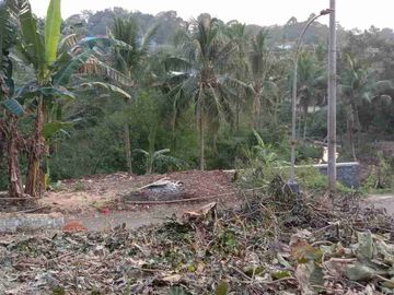 tanah murah cocok untuk investasi di patemon