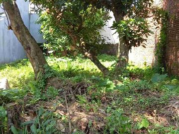 Dijual cepat tanah di Citra Indah  jonggol lokasi strategis asri