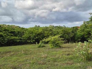 Tanah murah sangat cocok untuk kompleks perumahan berlokasi di Dharmawangsa kutuh dengan view laut.