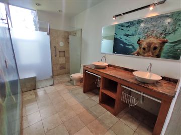 Se renta casa con jardin y terraza en Virreyes