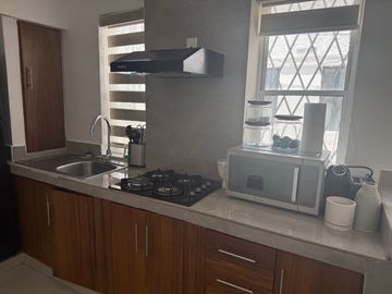 DEPARTAMENTO AMUEBLADO EN RENTA EN VERSALLES