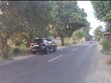 Jual Tanah Sawah Jl panglima polim tretek kec pare arifin sekoto