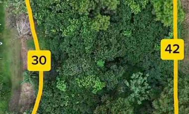 DIJUAL KAVLING TANAH DI PARUNG HIJAU 2, TAJUR HALANG KABUPATEN BOGOR