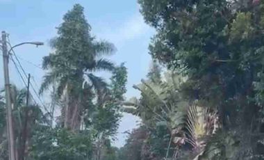 DIJUAL KAVLING TANAH DI PARUNG HIJAU 2, TAJUR HALANG KABUPATEN BOGOR