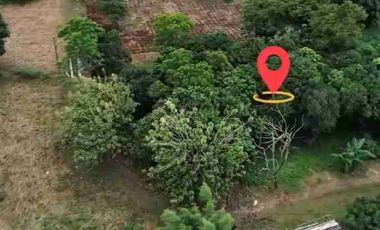 DIJUAL KAVLING TANAH DI PARUNG HIJAU 2, TAJUR HALANG KABUPATEN BOGOR