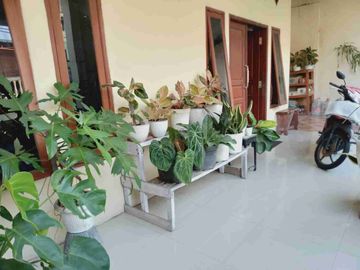 Rumah Murah siap Huni di Perum Balas Klumprik, Wiyung, Sby Selatan