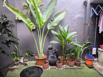 Rumah Cantik, siap huni, Luas tanah 90, Bgn 65, 2kt 1kp, 1km 1kmp, di Kemang Pratama 5, Bekasi
