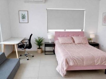 VENTA de Casa en la Col. Roma en Monterrey NL con alberca , terraza con asador y paneles solares .