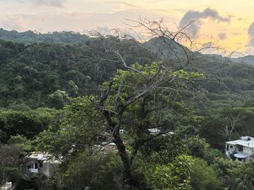 TERRENO EN LA MONTAÑA CERCA DE LA CRUZ DE HUANACAXTLE Y SAYULITA