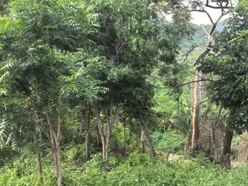 TERRENO EN LA MONTAÑA CERCA DE LA CRUZ DE HUANACAXTLE Y SAYULITA