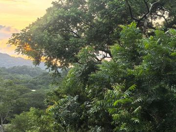 TERRENO EN LA MONTAÑA CERCA DE LA CRUZ DE HUANACAXTLE Y SAYULITA