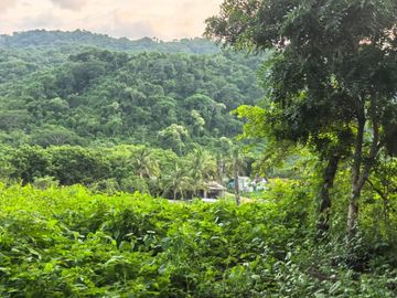 TERRENO EN LA MONTAÑA CERCA DE LA CRUZ DE HUANACAXTLE Y SAYULITA