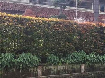 Dijual Rumah Mewah Murah