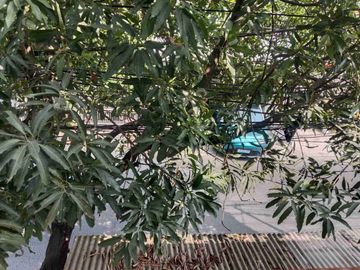 Di Jual Rumah Kos Kos an aktif di Pinggir Jalan Utama Pondok Pekayon Indah Bekasi