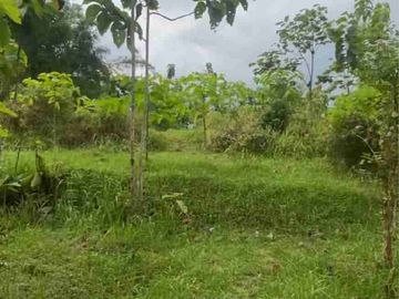 Investasi Tanah Luas 5950 Salaman Magelang