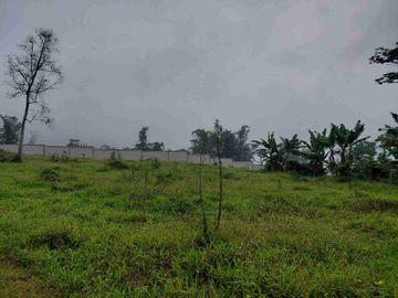 Dijual Tanah Luas Murah Strategis Di Tegal Rejo Kota Lawang