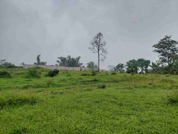 Dijual Tanah Luas Murah Strategis Di Tegal Rejo Kota Lawang