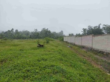 Dijual Tanah Luas Murah Strategis Di Tegal Rejo Kota Lawang