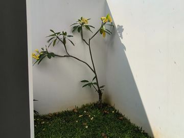 Rumah Minimalis Modern di Surabaya Selatan , Hadap Timur/Barat/Selatan