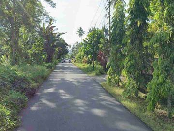 DIJUAL CEPAT TANAH STRATEGIS DAERAH MAPANGET, HARGA MURAH