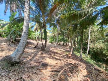 dijual tanah strategis dekat pantai wisata di tabanan dengan view sawah dab los sungai kecil berbatu