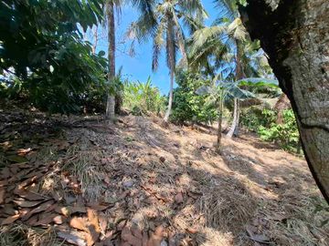 dijual tanah strategis dekat pantai wisata di tabanan dengan view sawah dab los sungai kecil berbatu