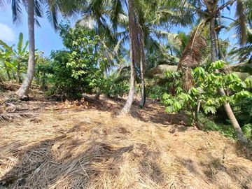 dijual tanah strategis dekat pantai wisata di tabanan dengan view sawah dab los sungai kecil berbatu