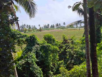 dijual tanah strategis dekat pantai wisata di tabanan dengan view sawah dab los sungai kecil berbatu