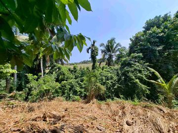 dijual tanah strategis dekat pantai wisata di tabanan dengan view sawah dab los sungai kecil berbatu