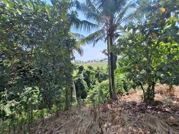 dijual tanah strategis dekat pantai wisata di tabanan dengan view sawah dab los sungai kecil berbatu