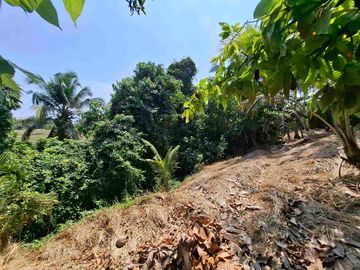 dijual tanah strategis dekat pantai wisata di tabanan dengan view sawah dab los sungai kecil berbatu