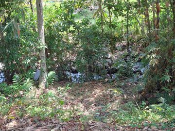 dijual tanah strategis dekat pantai wisata di tabanan dengan view sawah dab los sungai kecil berbatu