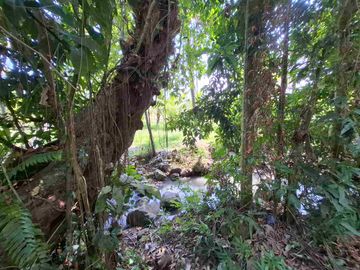 dijual tanah strategis dekat pantai wisata di tabanan dengan view sawah dab los sungai kecil berbatu