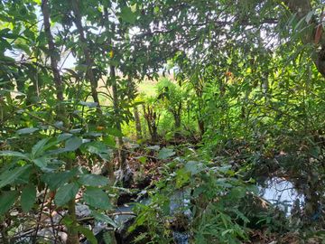 dijual tanah strategis dekat pantai wisata di tabanan dengan view sawah dab los sungai kecil berbatu