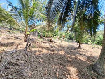 dijual tanah strategis dekat pantai wisata di tabanan dengan view sawah dab los sungai kecil berbatu