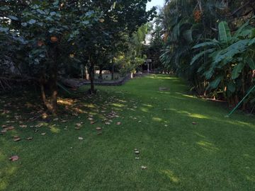 CASA SOLA EN VENTA, EN JIUTEPEC,MOR, CON JARDINES Y ABROLES FRUTALES, JUNTO A UN ARROYO EN SN GASPAR
