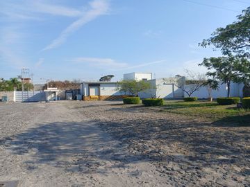 VENTA PLANTA INDUSTRIAL DE BERRIES TALA JALISCO