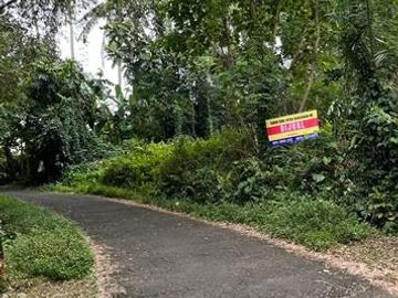 Dijual Tanah Area Berkembang Dekat Jalan Utama Cocok Dibangun Villa