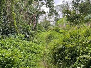 Dijual Tanah Area Berkembang Dekat Jalan Utama Cocok Dibangun Villa