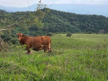 RANCHO EN VENTA
