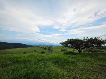 TERRENO HECTÁREAS EN VENTA