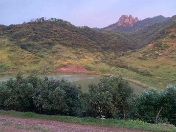 TERRENO HECTÁREAS EN VENTA