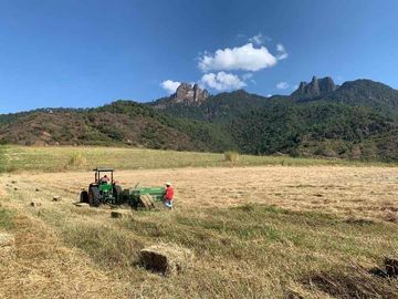 TERRENO HECTÁREAS EN VENTA
