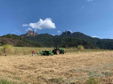 TERRENO HECTÁREAS EN VENTA