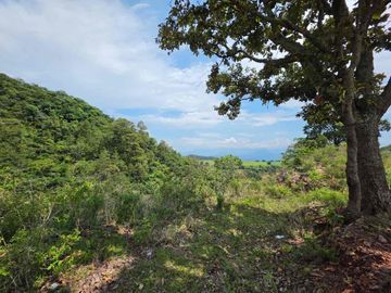 TERRENO HECTÁREAS EN VENTA