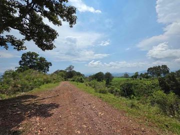TERRENO HECTÁREAS EN VENTA