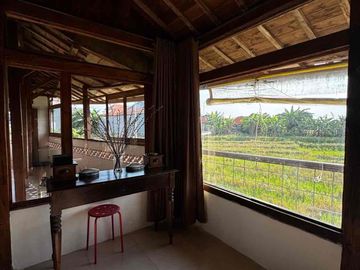 rumah di sewakan Padonan Canggu bali