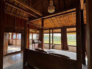 rumah di sewakan Padonan Canggu bali