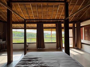 rumah di sewakan Padonan Canggu bali
